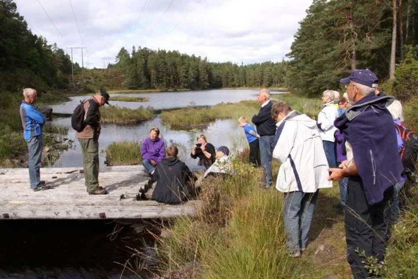 Referat fra Høsttur i Skjulestadskogen
