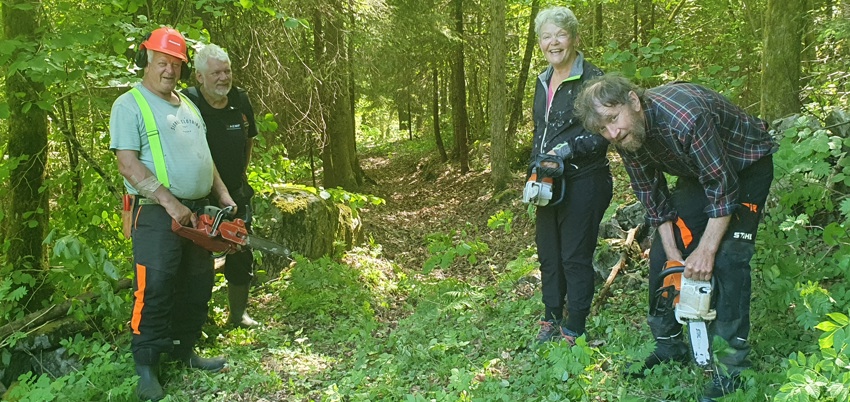 Rydding av tursti til Hattåsen