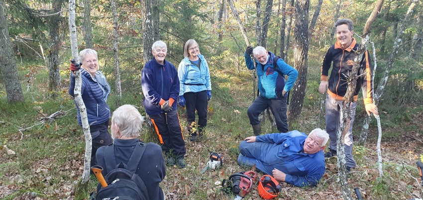 Rydding av tursti til Mofjell ved Brekka 15.okt.